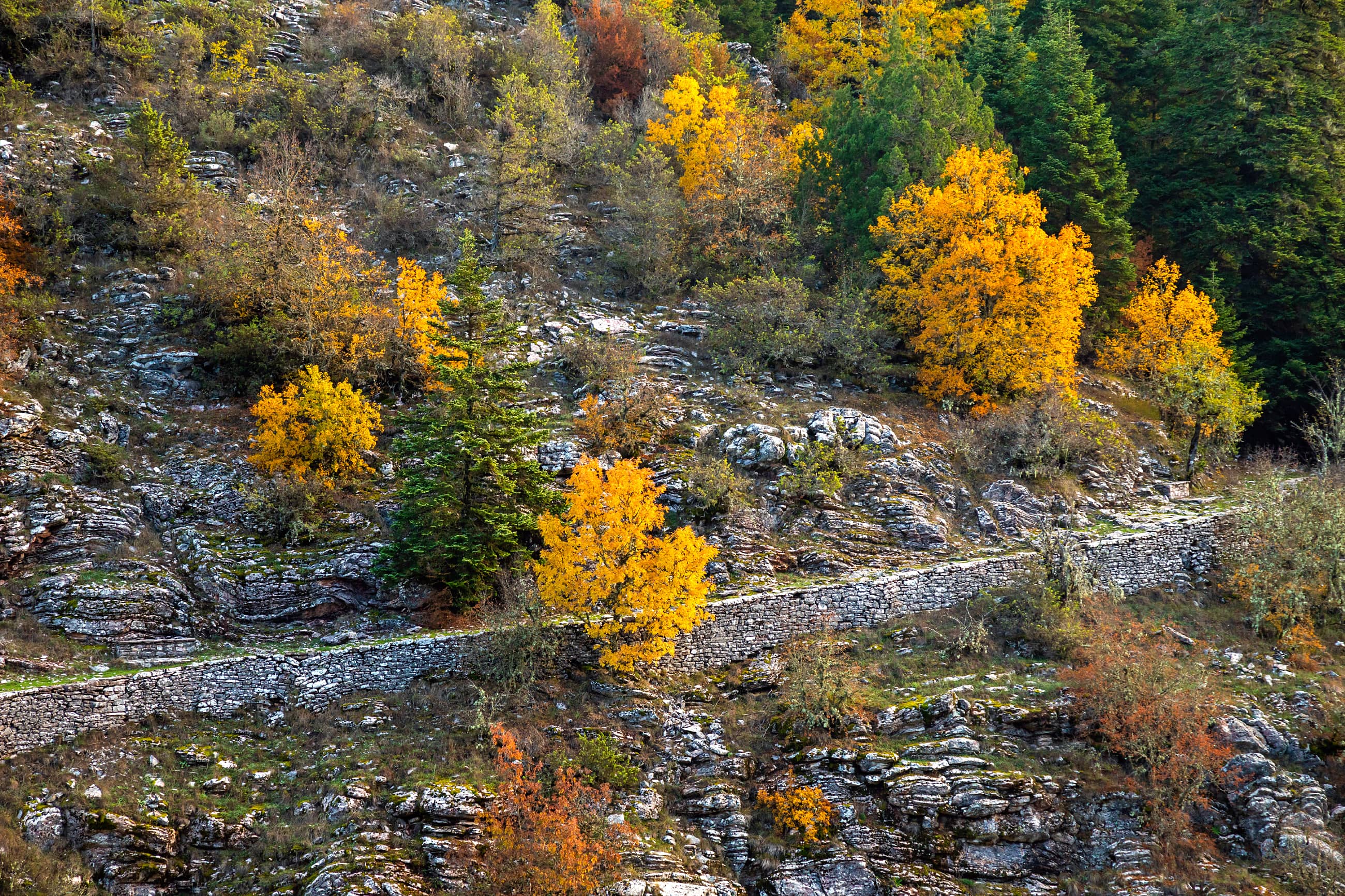 PYLI - KOZIAKAS - A timeless Passage | Visit Thessaly