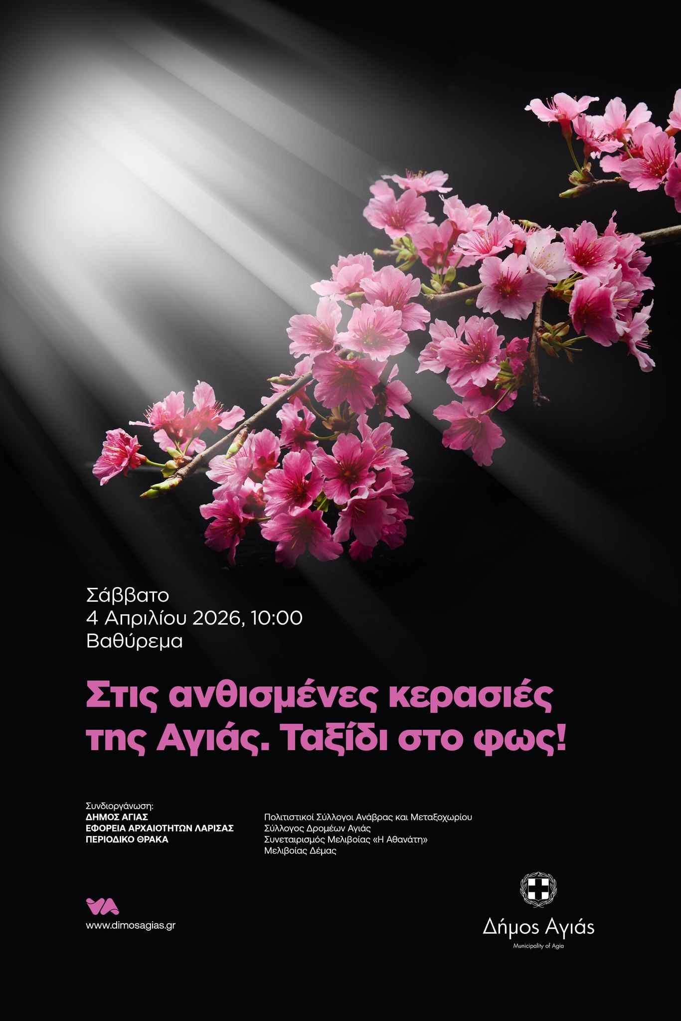 In the Blossoming Cherry Trees of Agia – A Journey into the Light