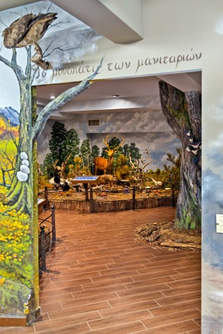 Μουσείο Φυσικής Ιστορίας