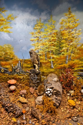 Μουσείο Φυσικής Ιστορίας