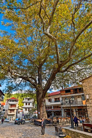 Λιβάδι Ολύμπου