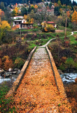 Κρανιά Ασπροποτάμου