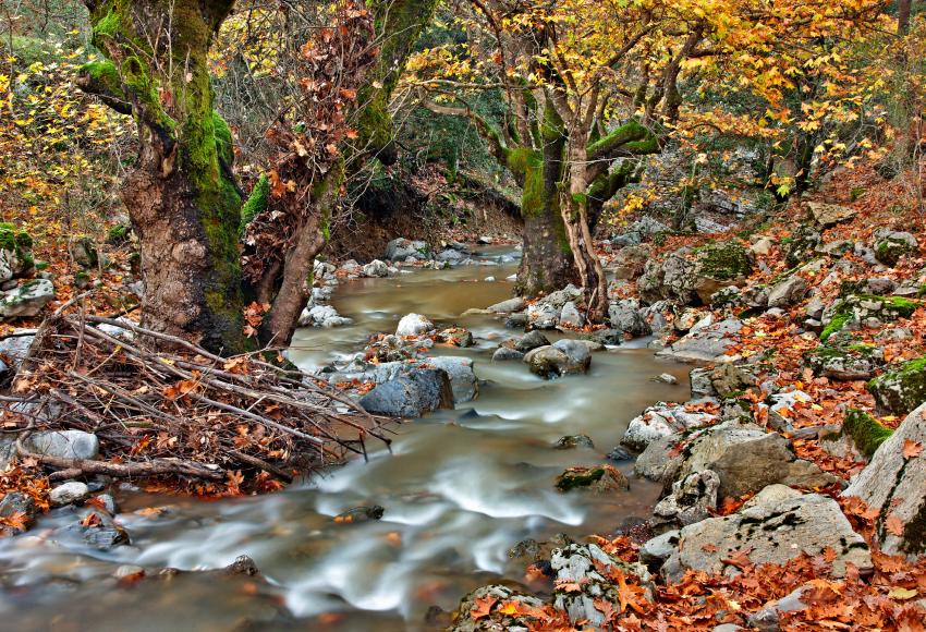 Δυτική Μαγνησία