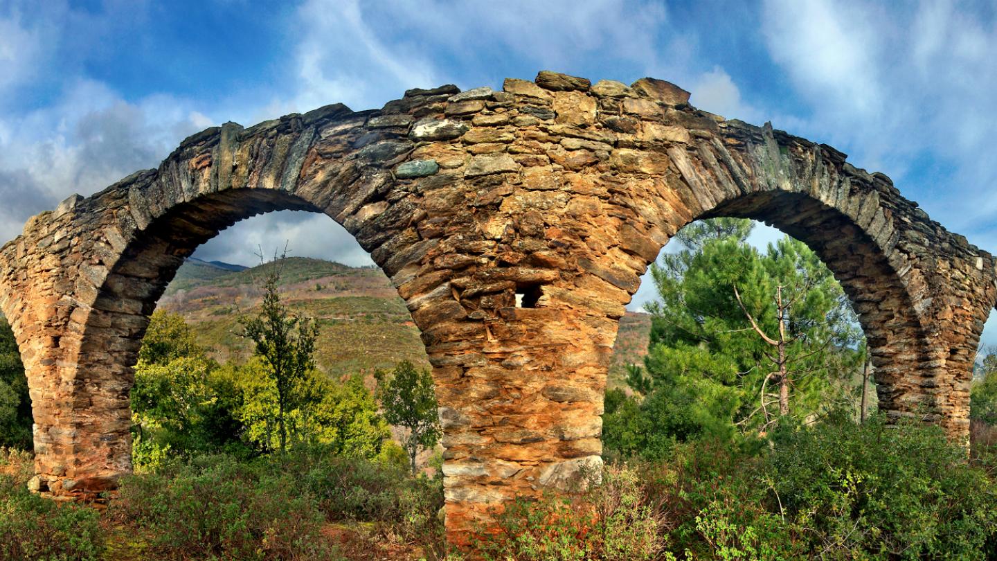Metaxochori