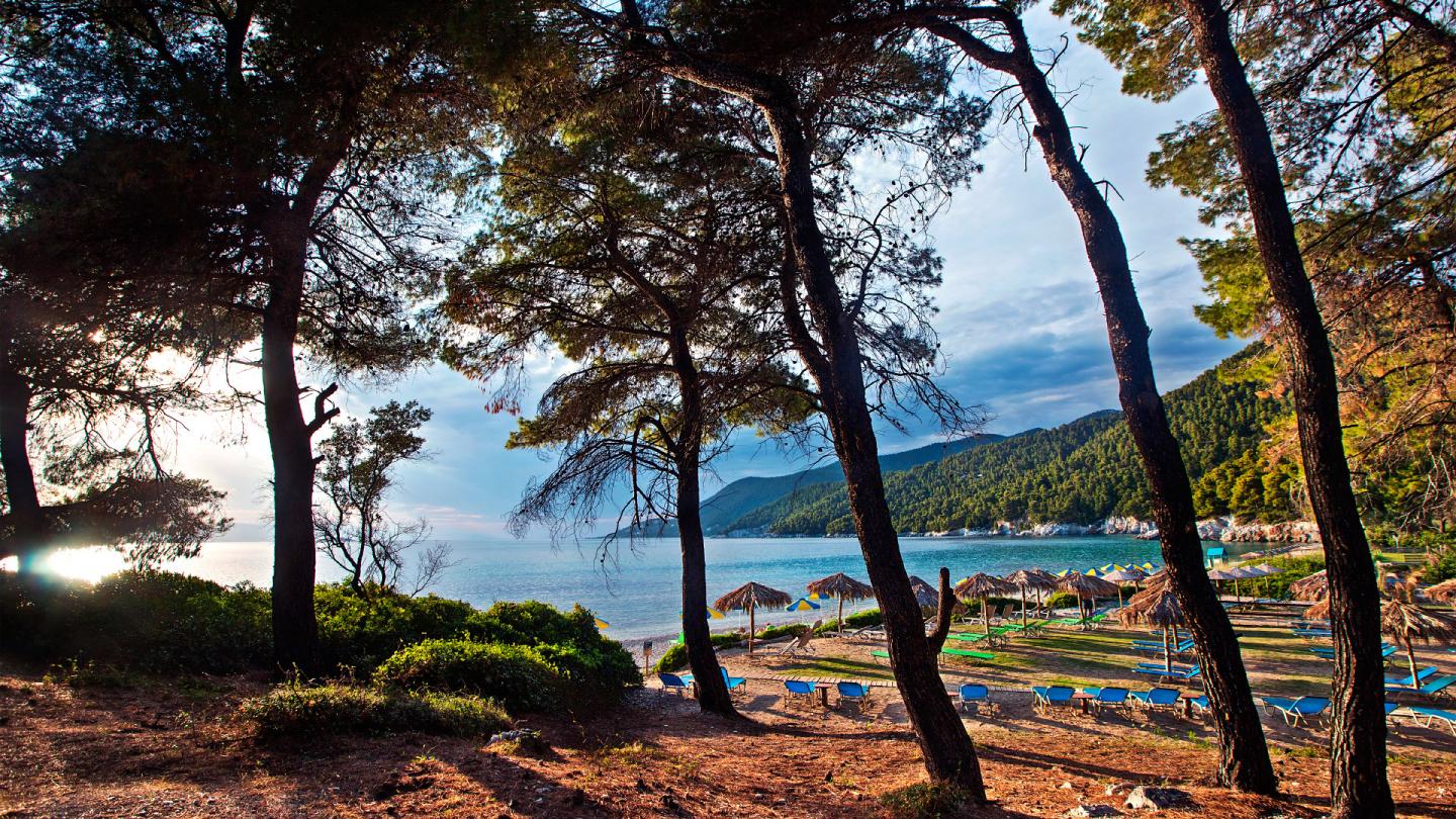 Skopelos Beaches