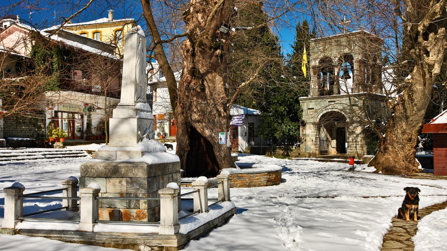 Ζαγορά