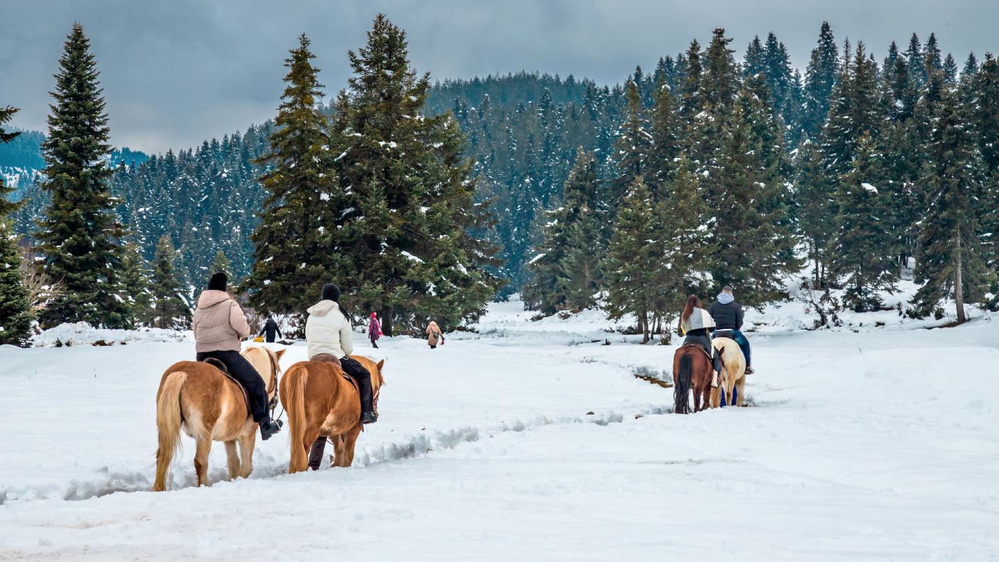 Horseback Riding in Pertouli