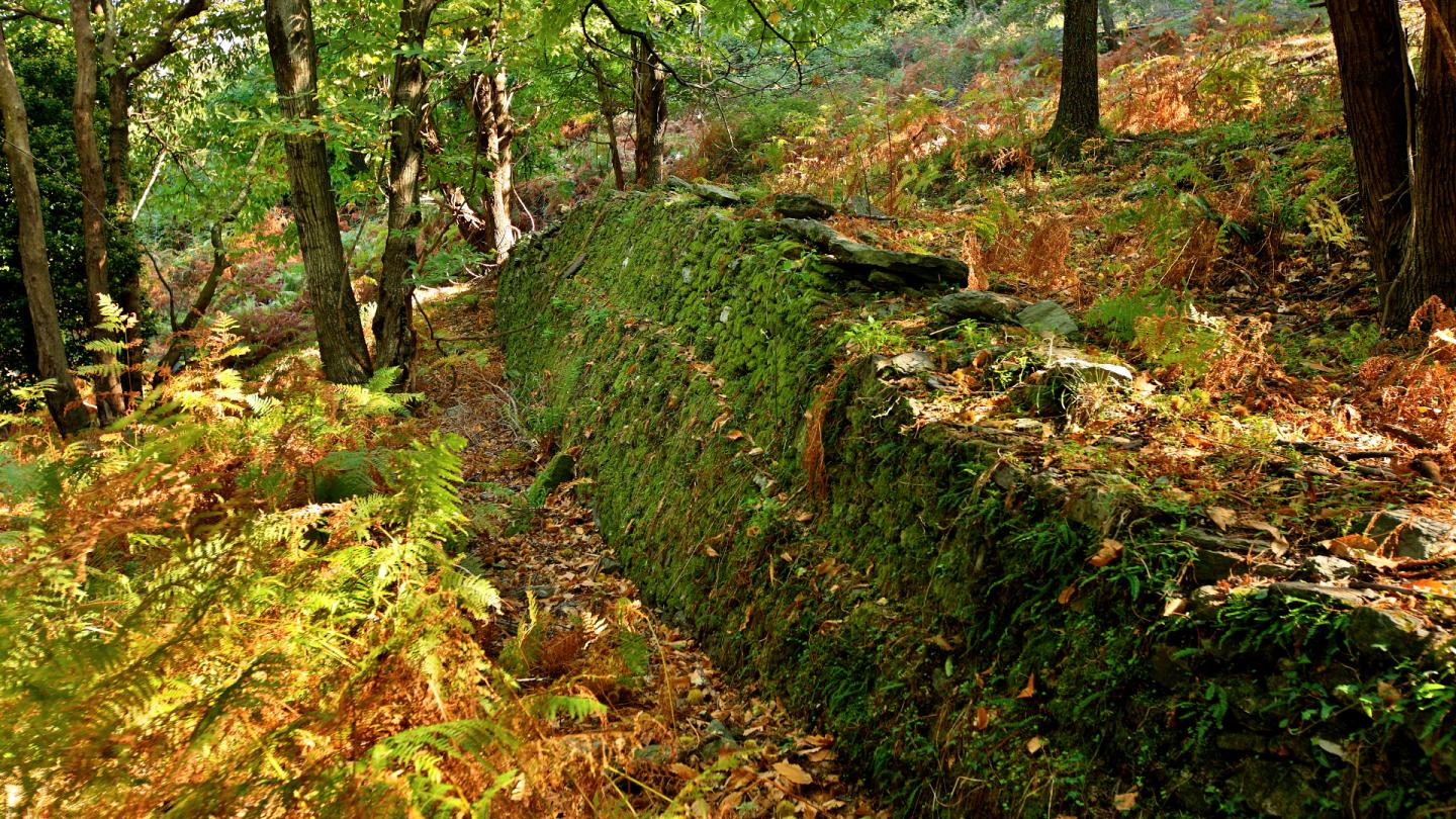 Παλιά Μιτζέλα