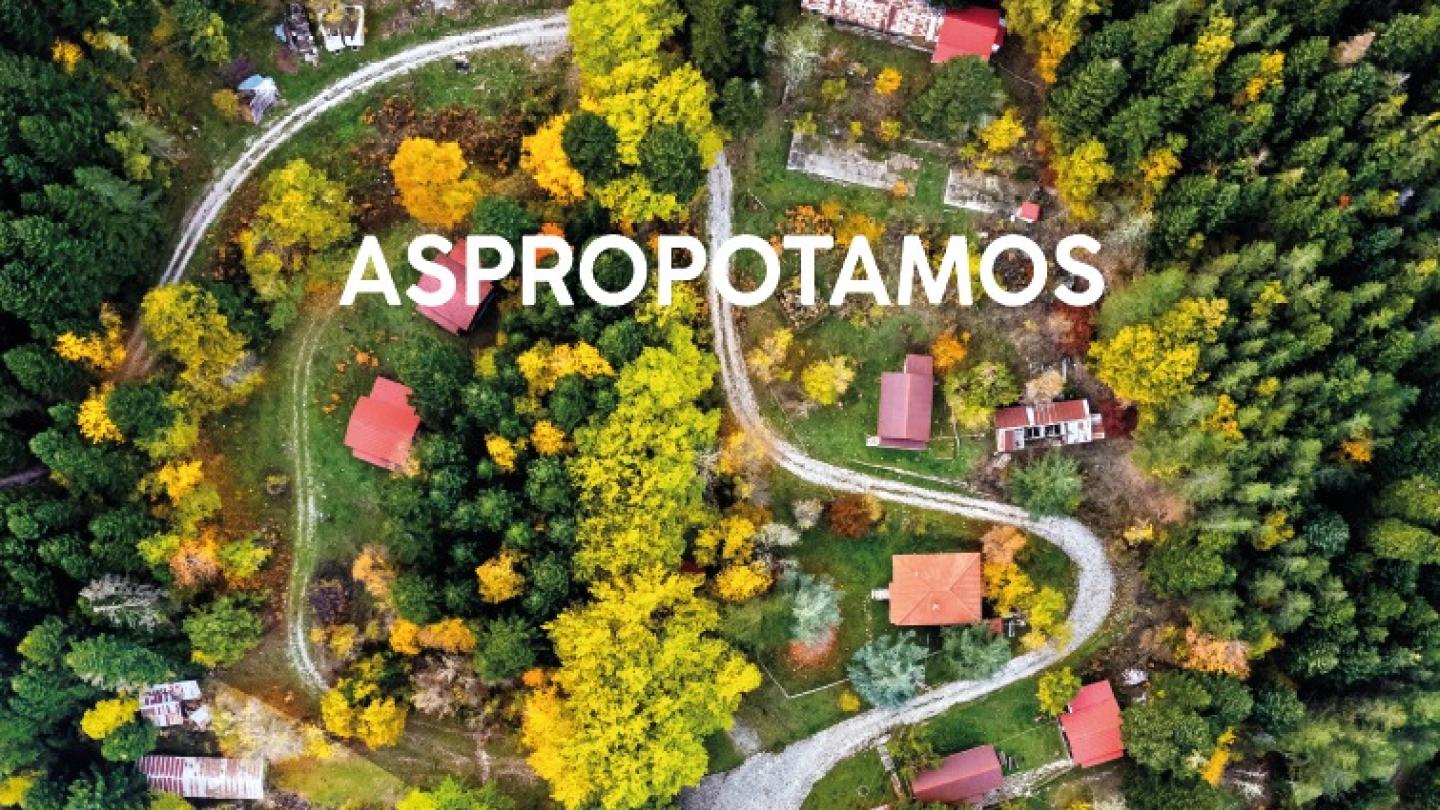 Νέα Ταυτότητα