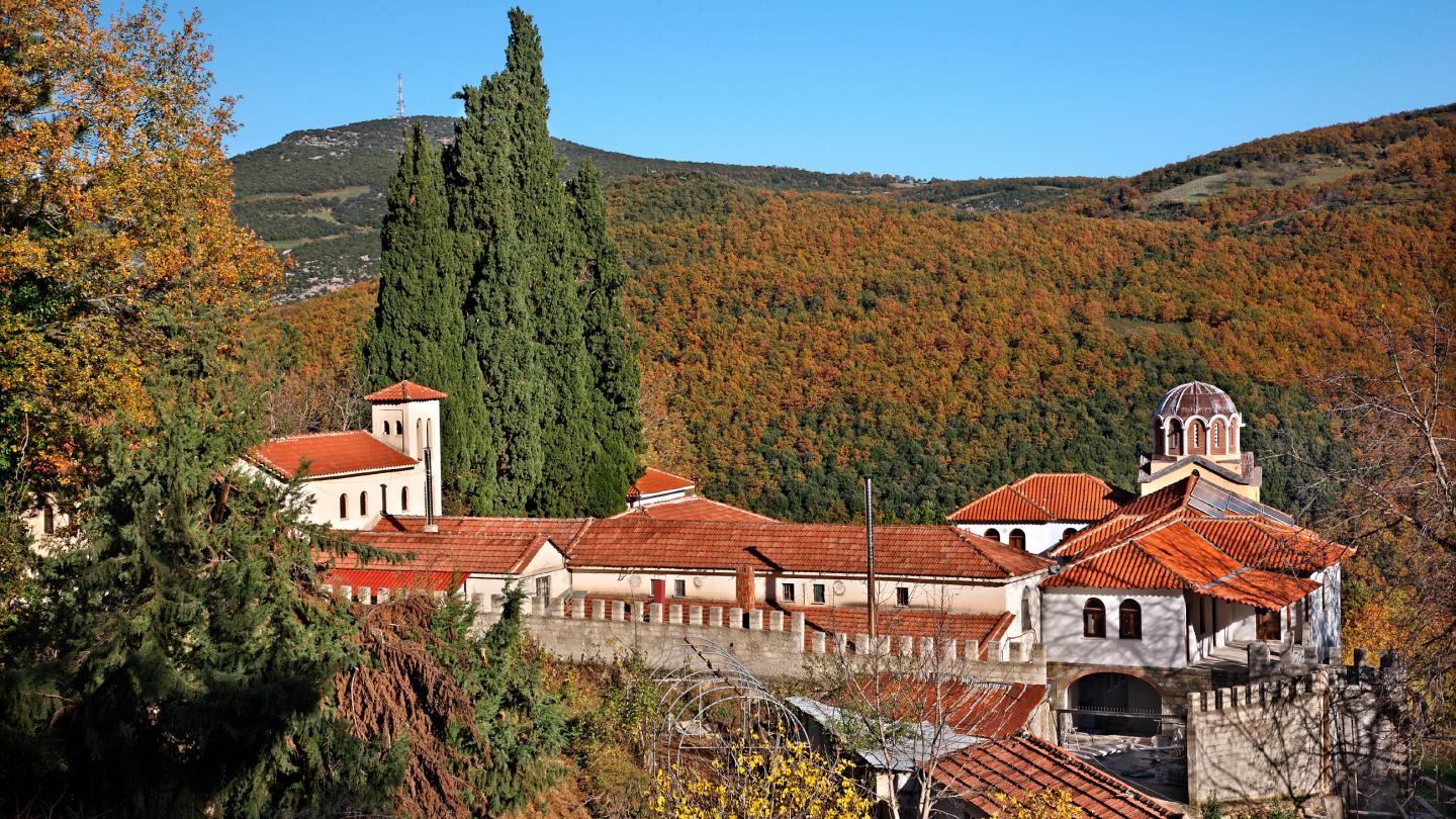 Δυτική Μαγνησία