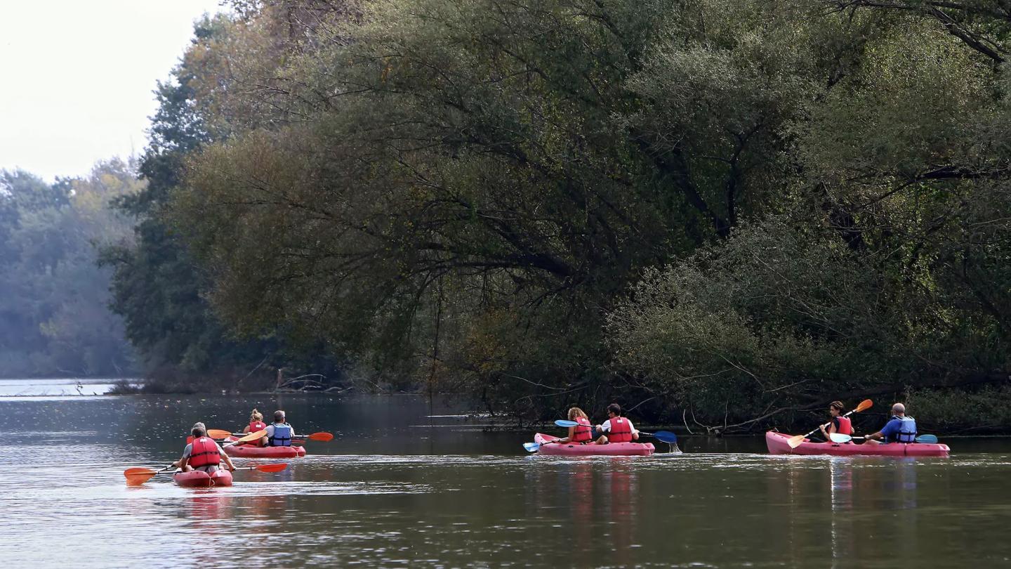 Canoe Δέλτα