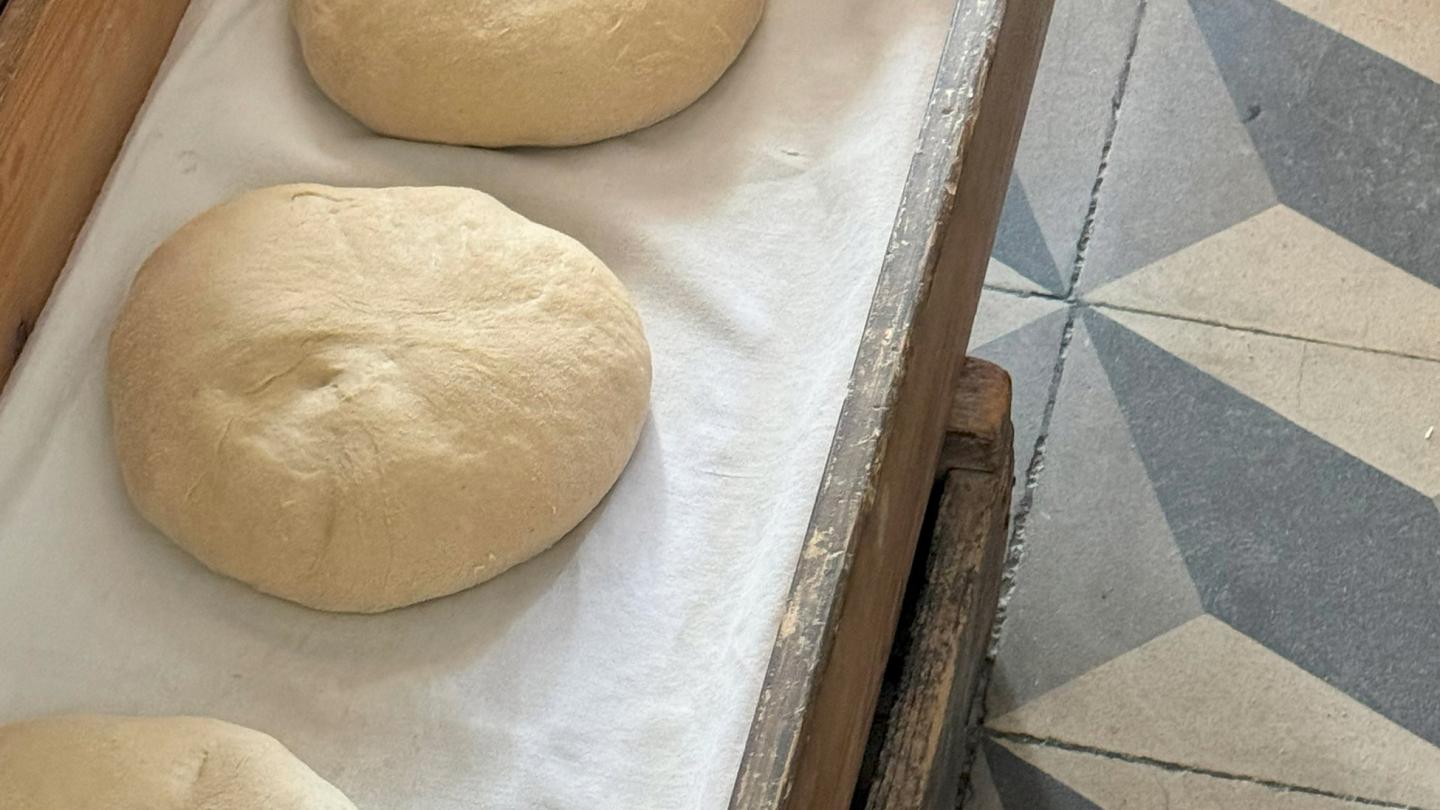 Φούρνος Λαύκος
