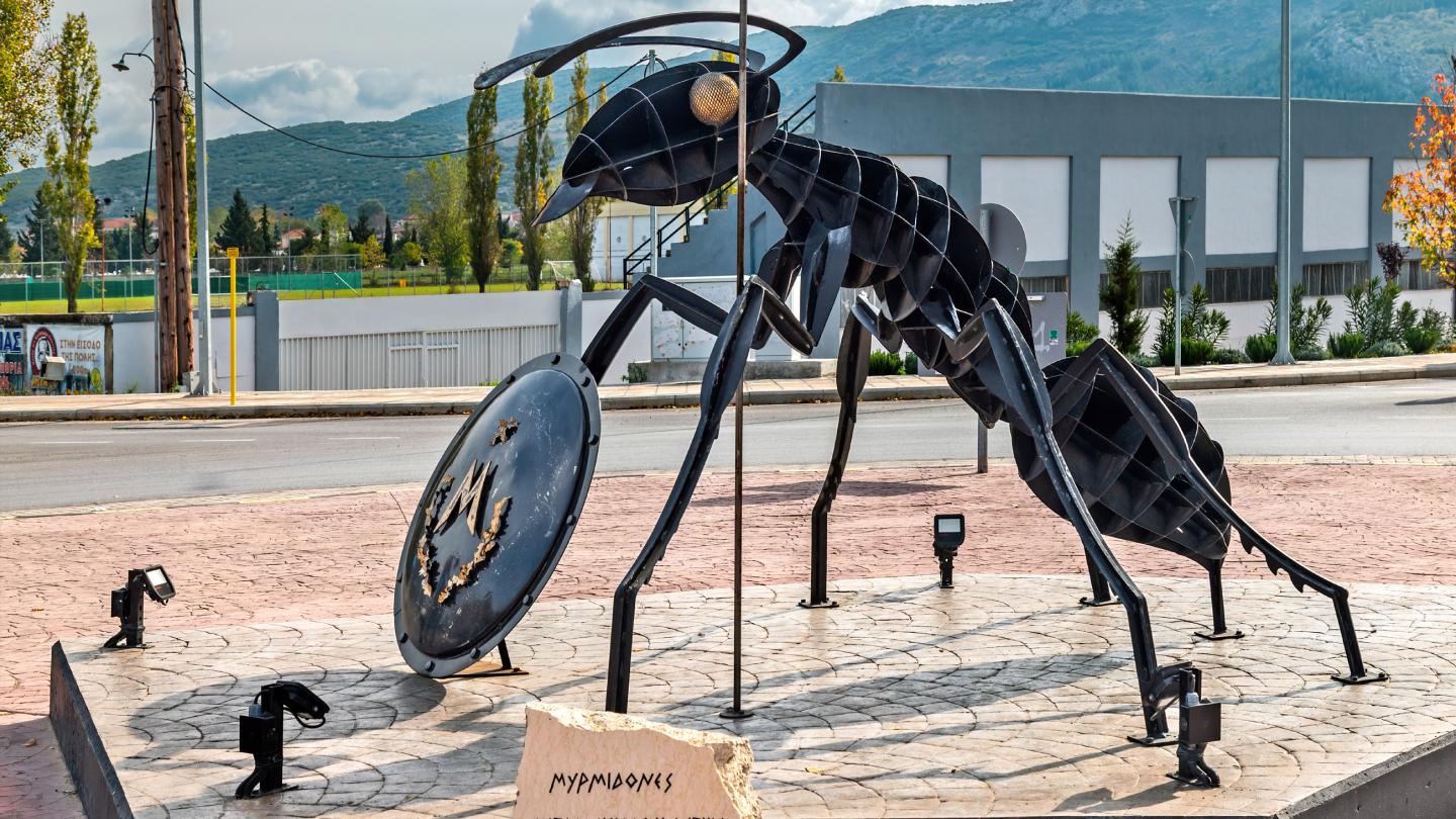 Τι κάνει ένα μυρμήγκι στα Φάρσαλα;