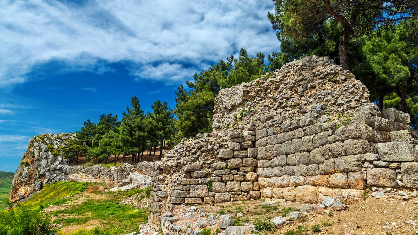 Ακρόπολη Αρχαίας Φαρσάλου