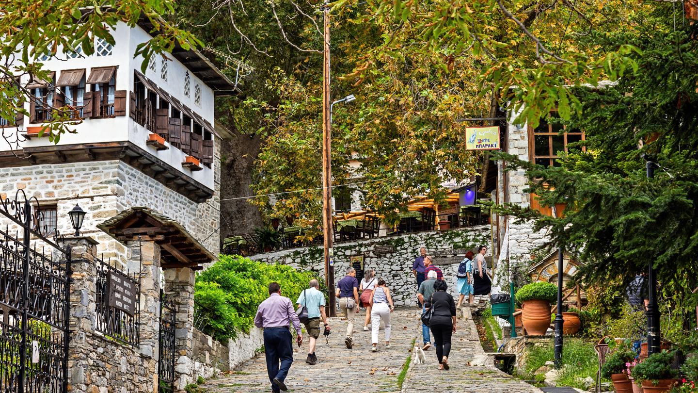 Πηλιορείτικη Αρχιτεκτονική