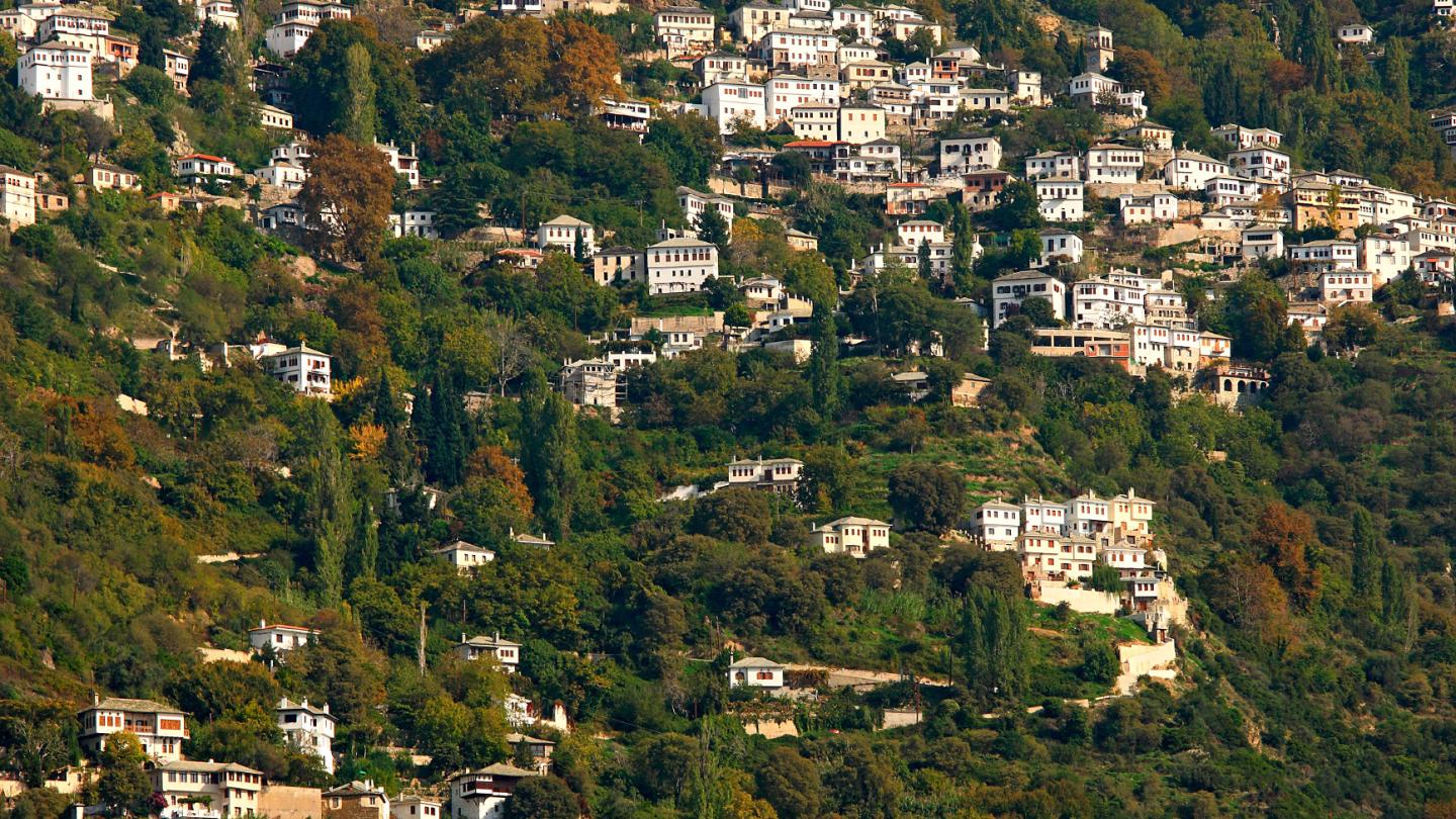Πηλιορείτικη Αρχιτεκτονική