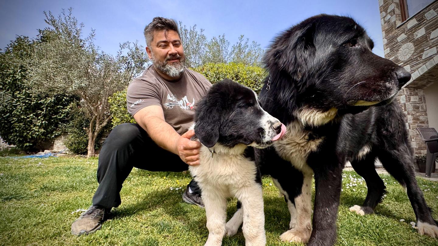 Στέφανος Πολυγένης, ο φύλακας των ελληνικών ποιμενικών