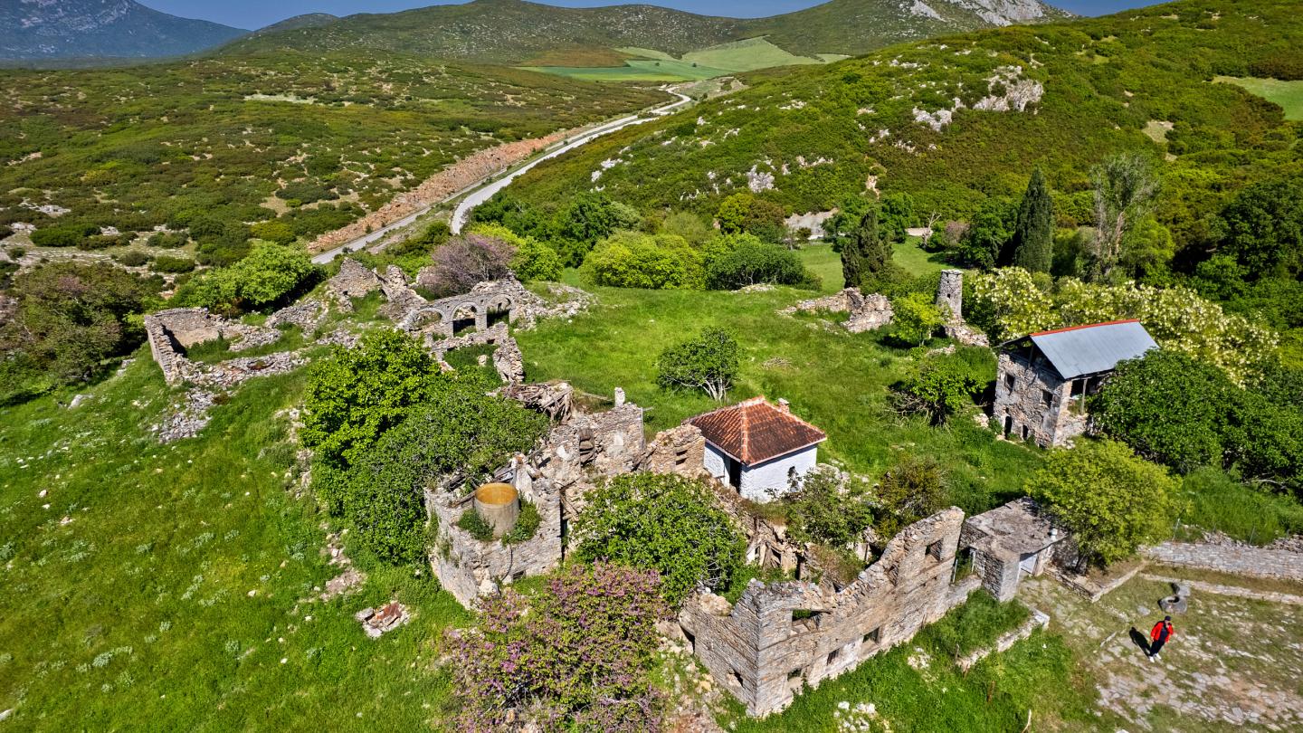 Τεκές Μπεκτασήδων