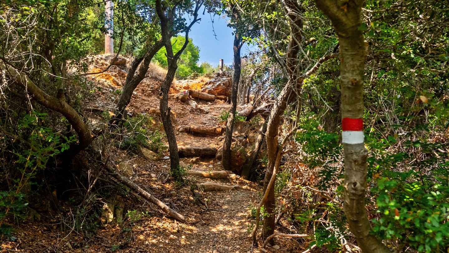 Πεζοπορία Αλόννησος