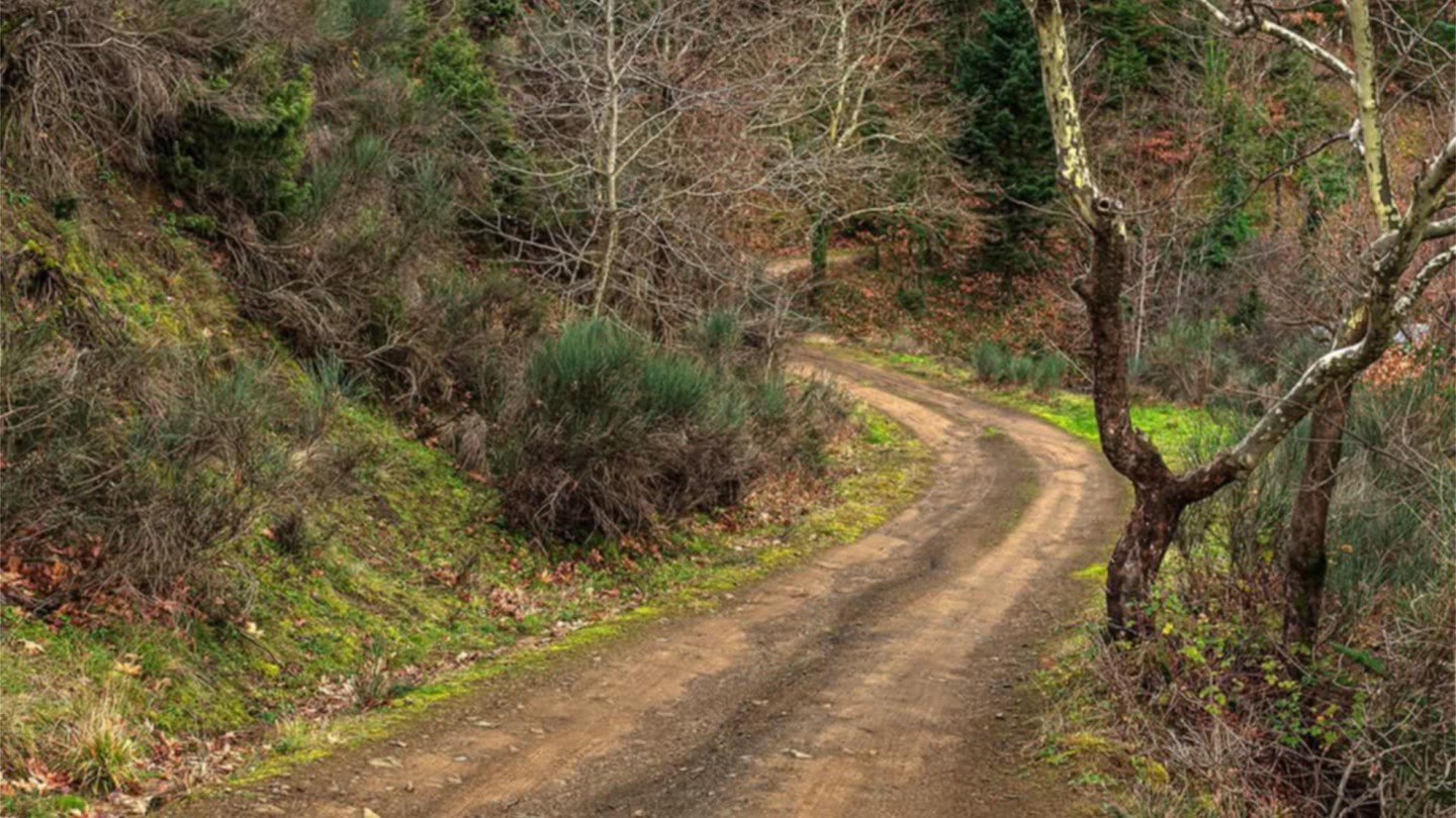 Αμάραντος gravel