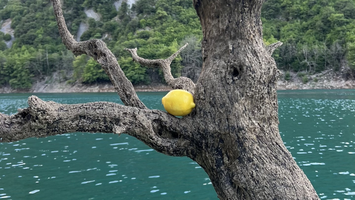 Lemon