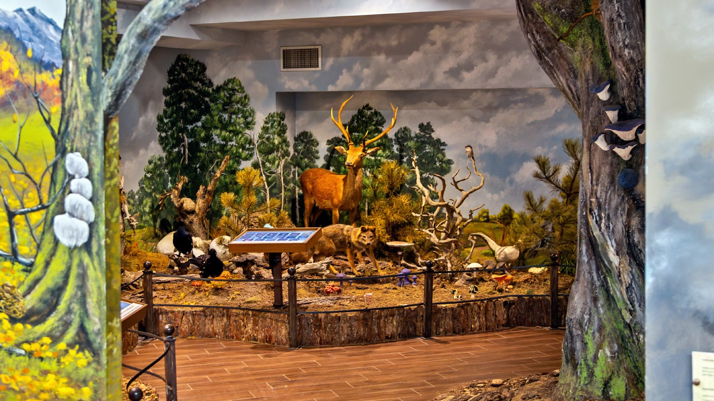 Μουσείο Φυσικής Ιστορίας