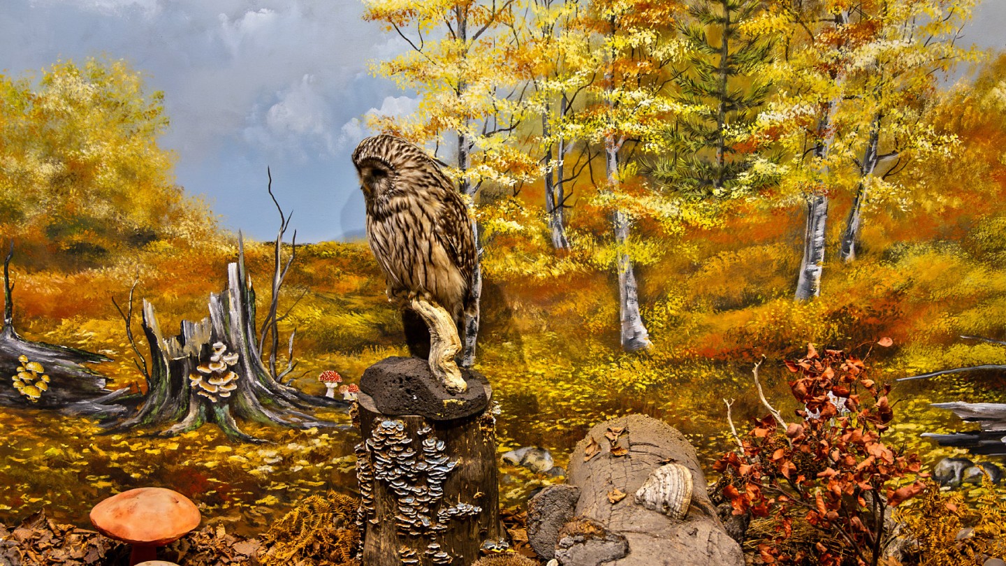 Μουσείο Φυσικής Ιστορίας