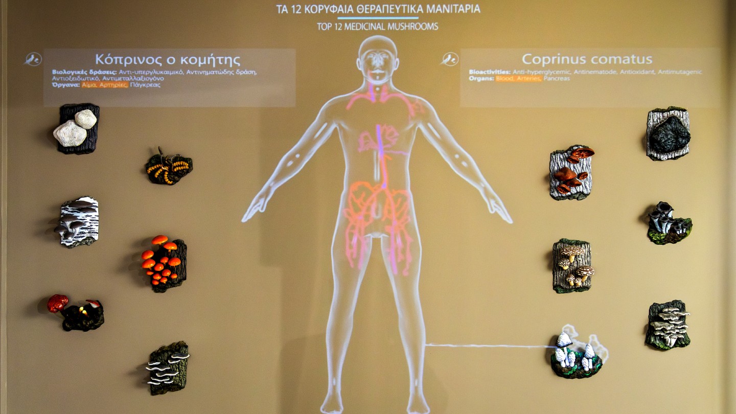 Μουσείο Φυσικής Ιστορίας