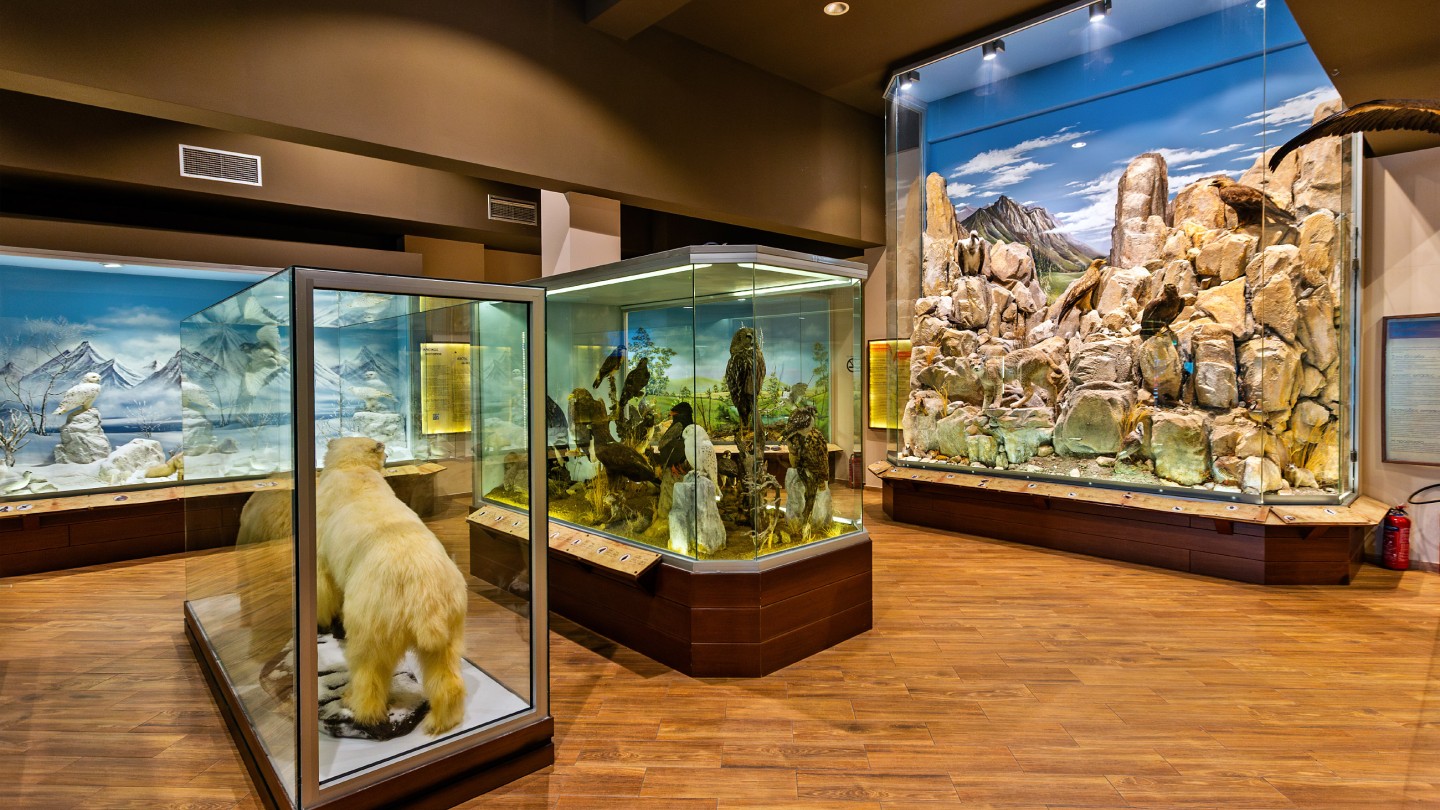 Μουσείο Φυσικής Ιστορίας