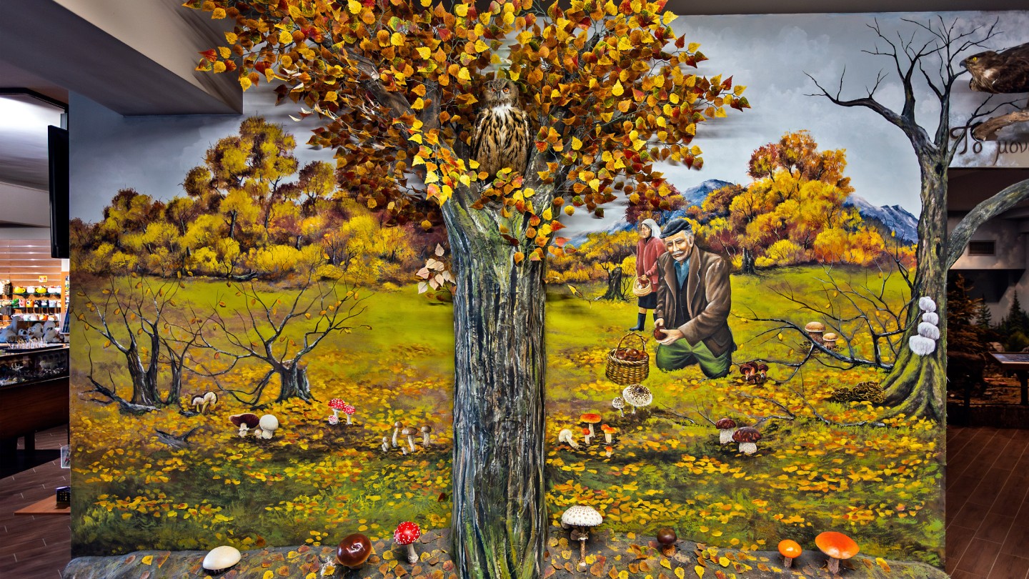 Μουσείο Φυσικής Ιστορίας