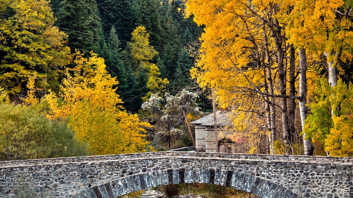 Κρανιά Ασπροποτάμου