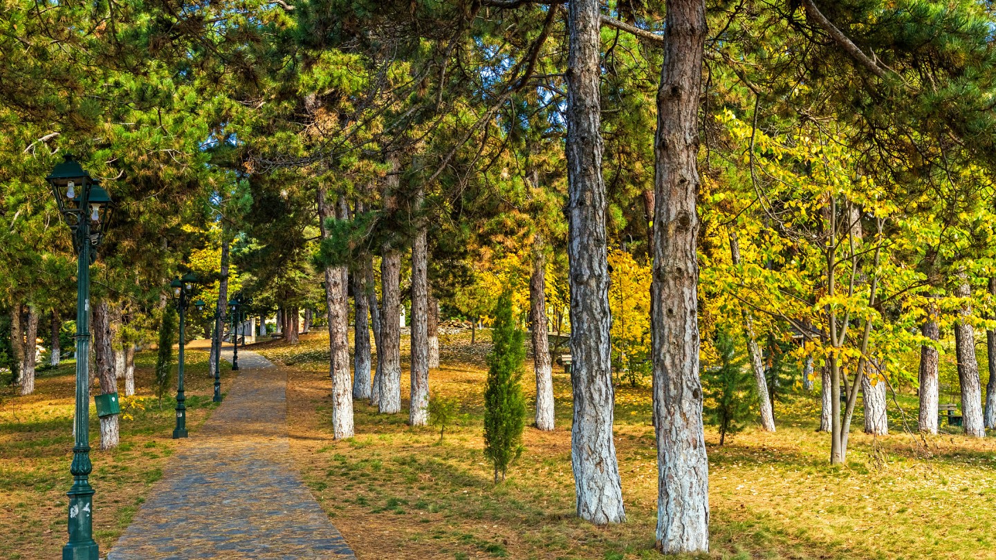 Λιβάδι Ολύμπου