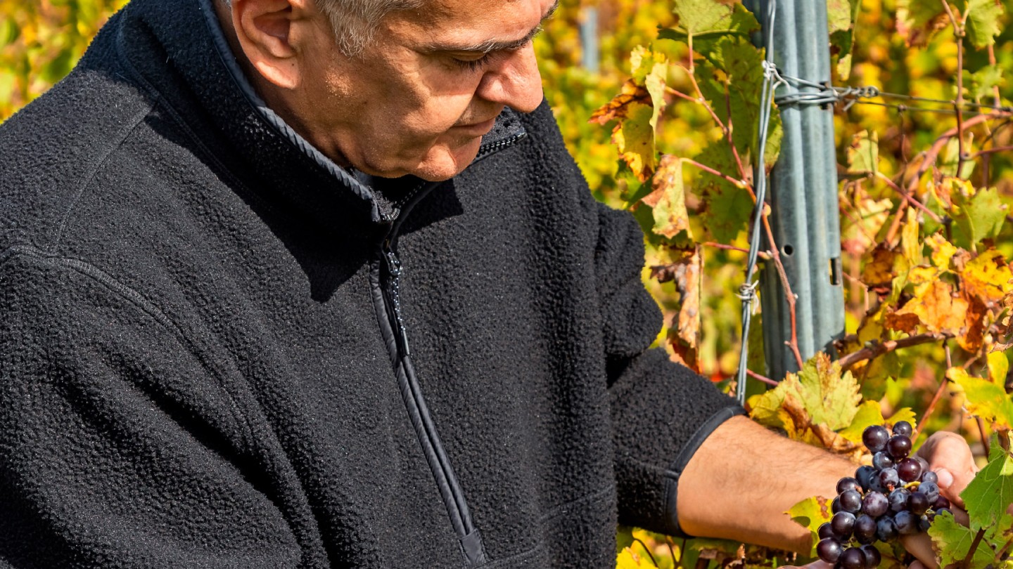 Θάνος Καραθάνος