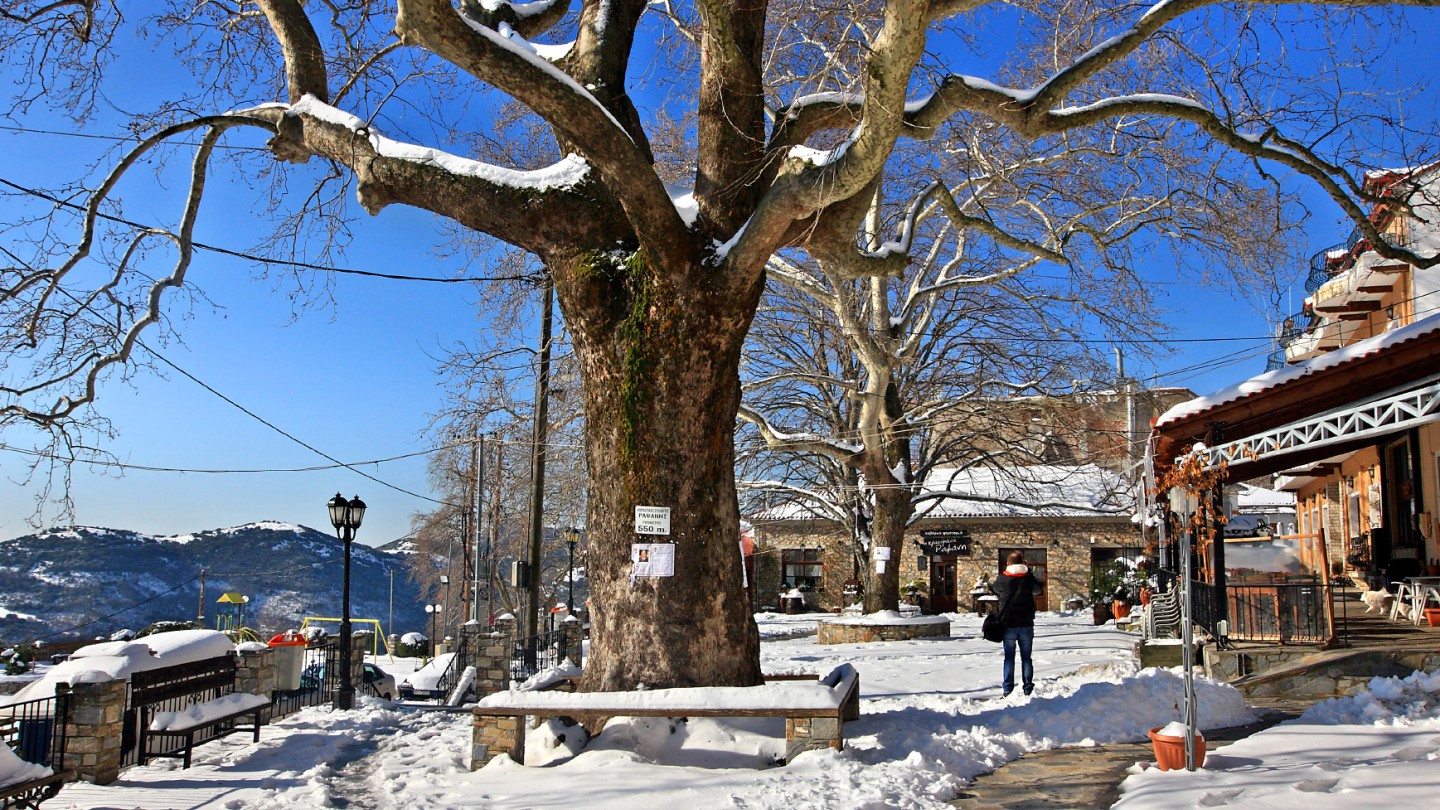 Rapsani, the “wine village” of Olympus | Visit Thessaly