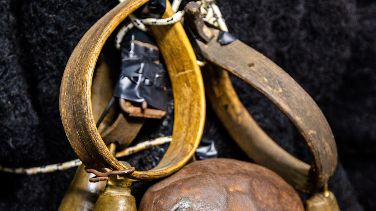 Σούρβα Γόννοι