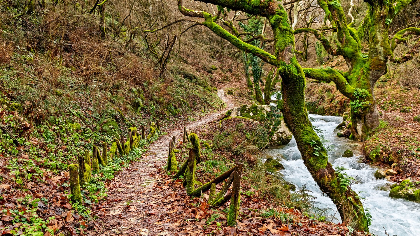 Μονοπάτι Ασκληπιού