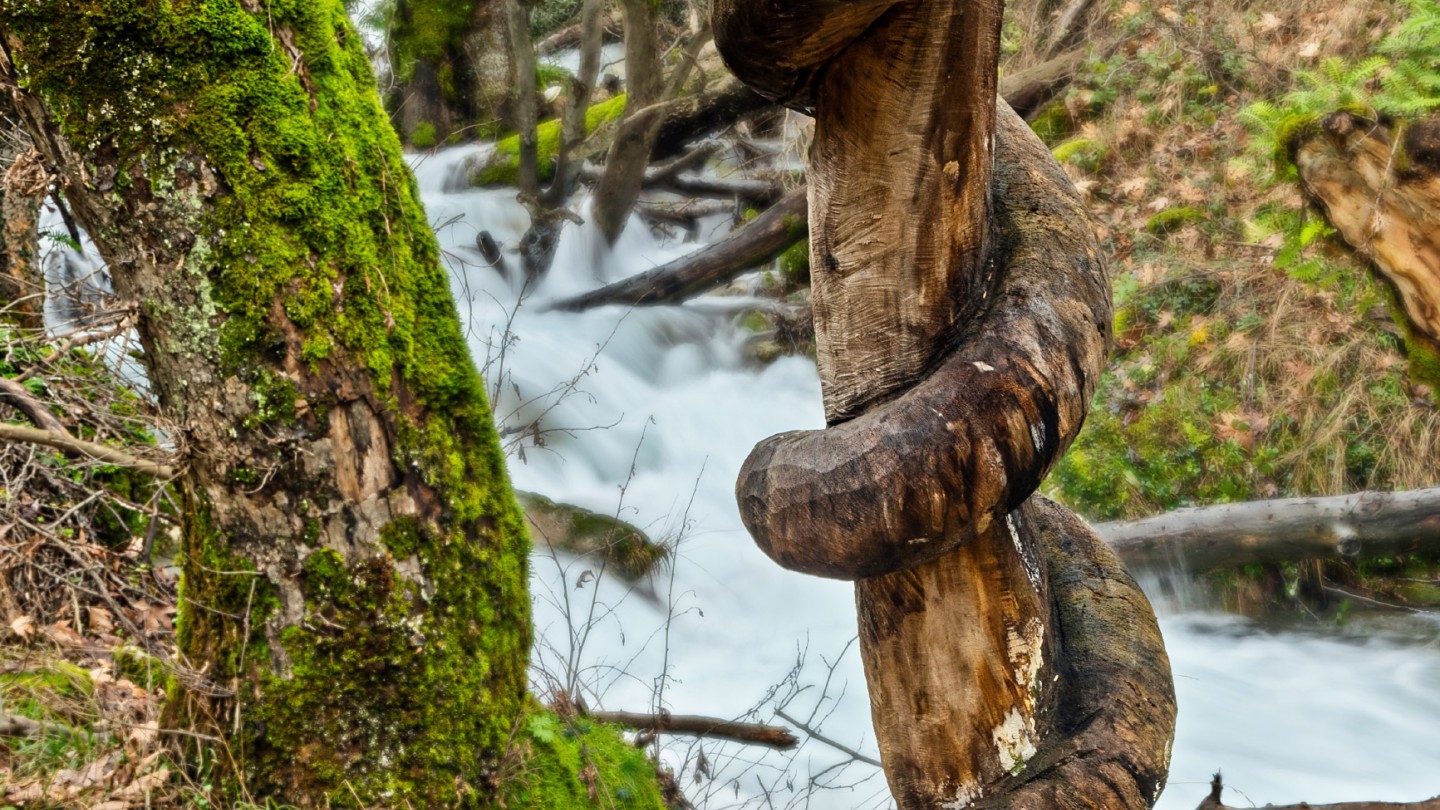 Μονοπάτι Ασκληπιού