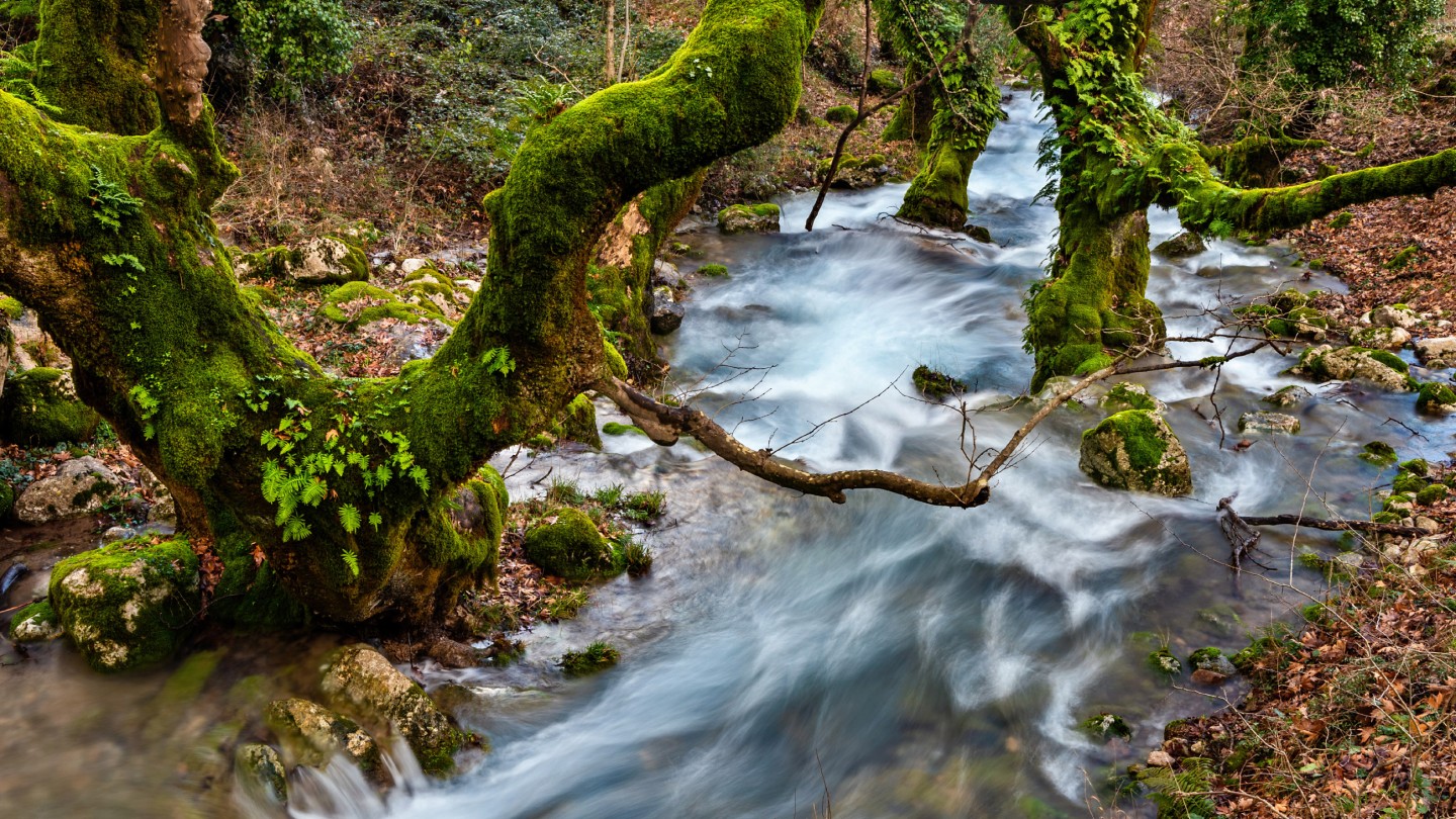 Μονοπάτι Ασκληπιού