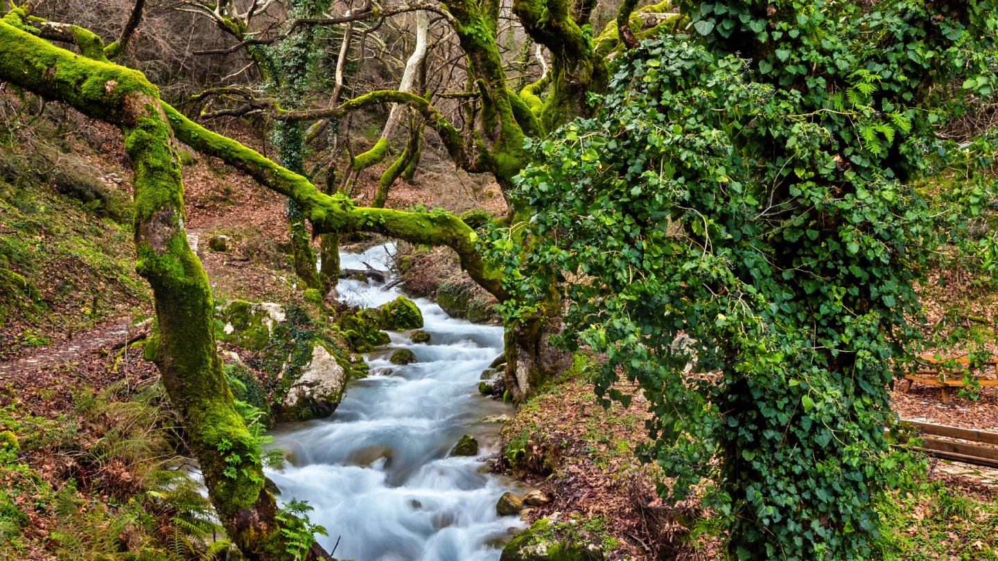 Μονοπάτι Ασκληπιού