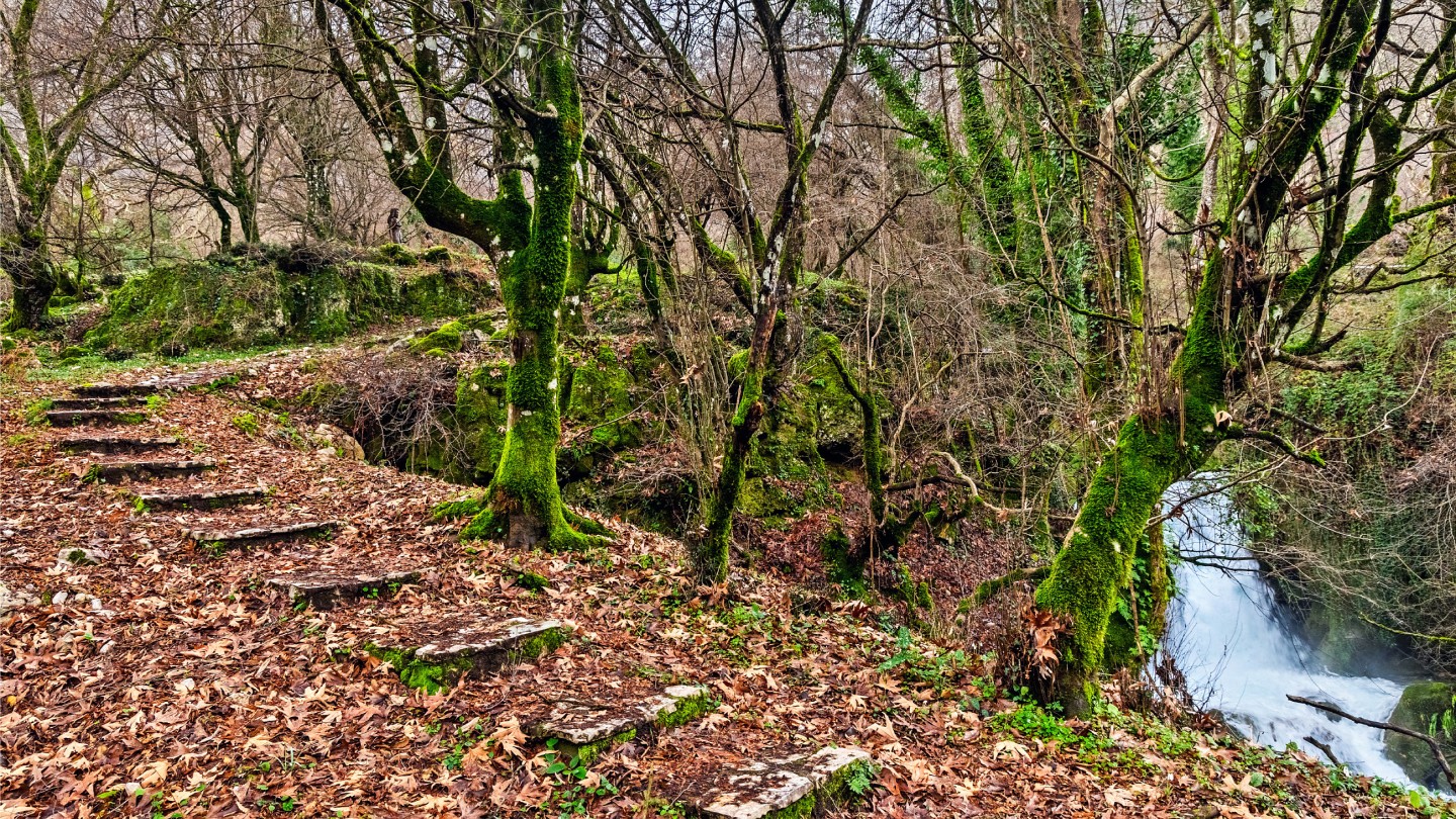 Μονοπάτι Ασκληπιού