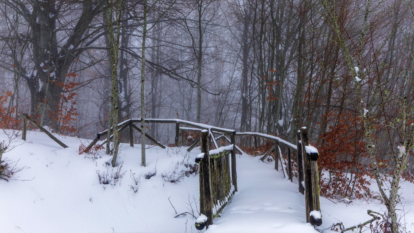 Λίμνη Λογγά