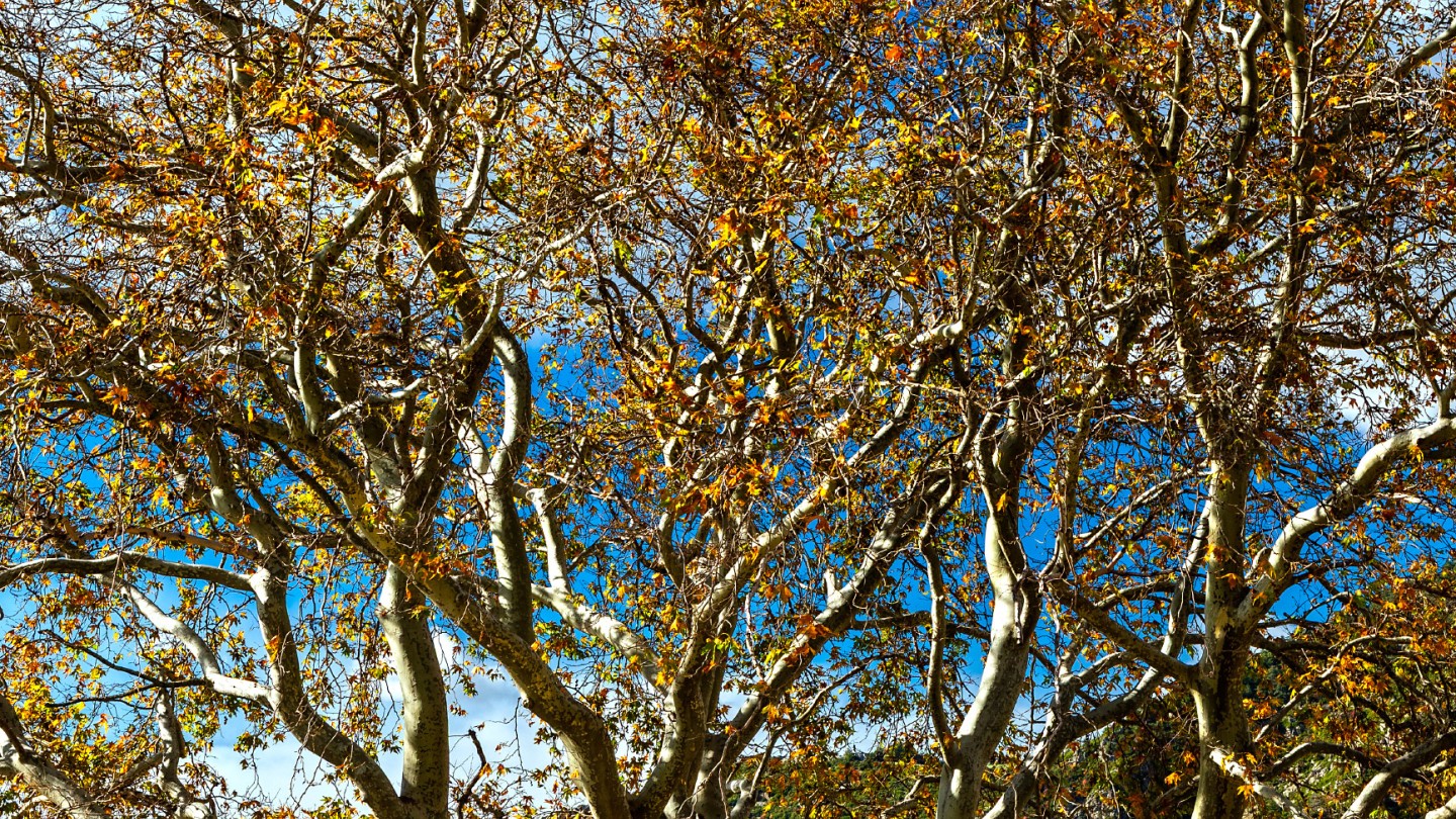 Κοκκινοπηλός