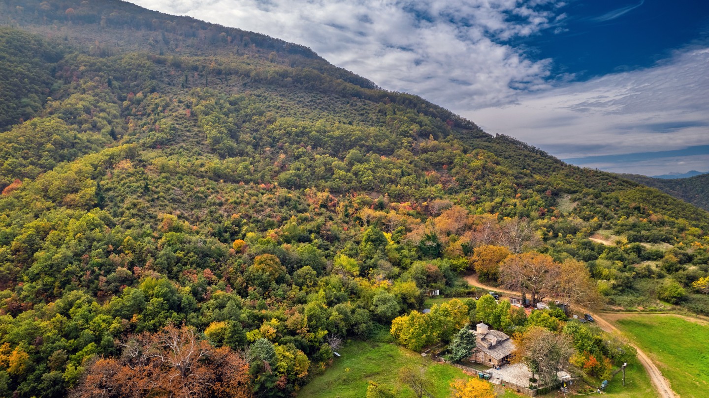 Μονή Προδρόμου Παλιουρίου