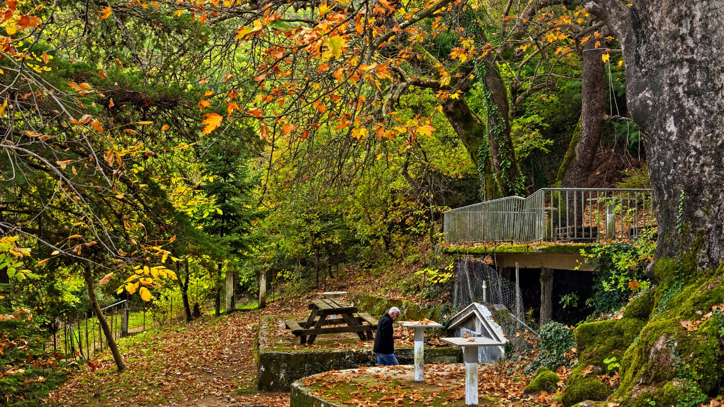 Μονή Προδρόμου Παλιουρίου