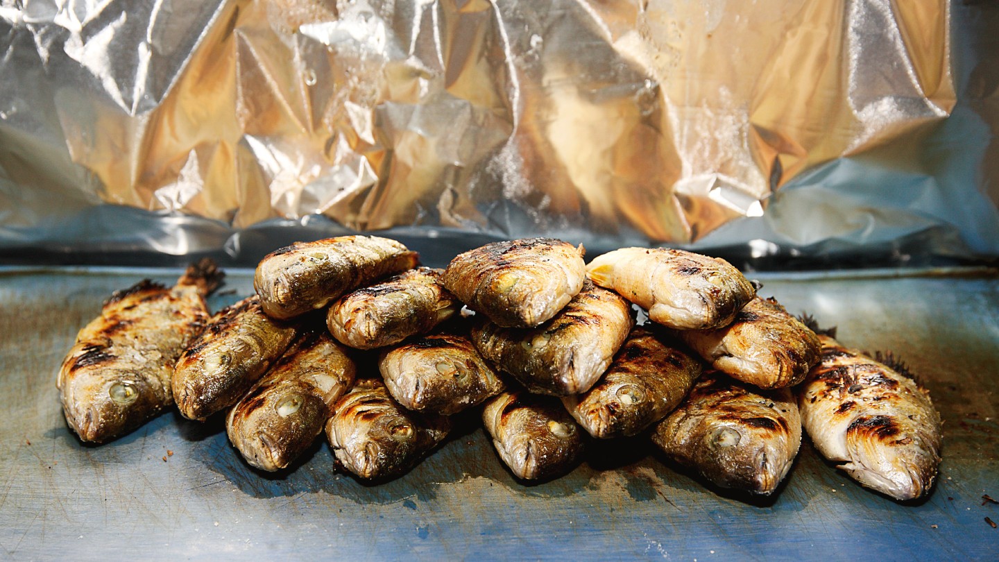 Τσιπουράδικα