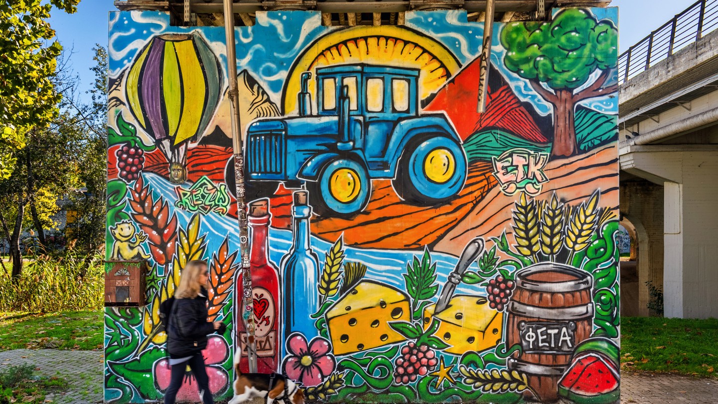 Λάρισα street art