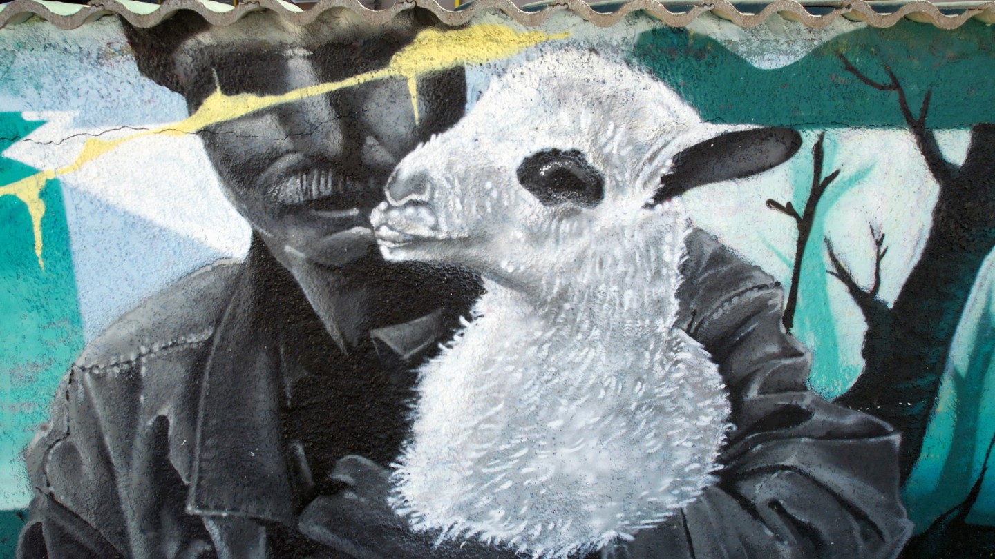 Λάρισα street art