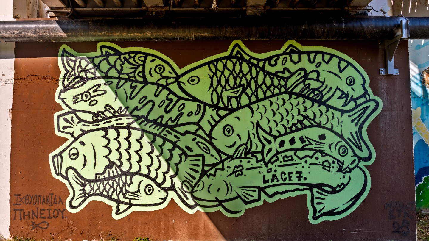 Λάρισα street art