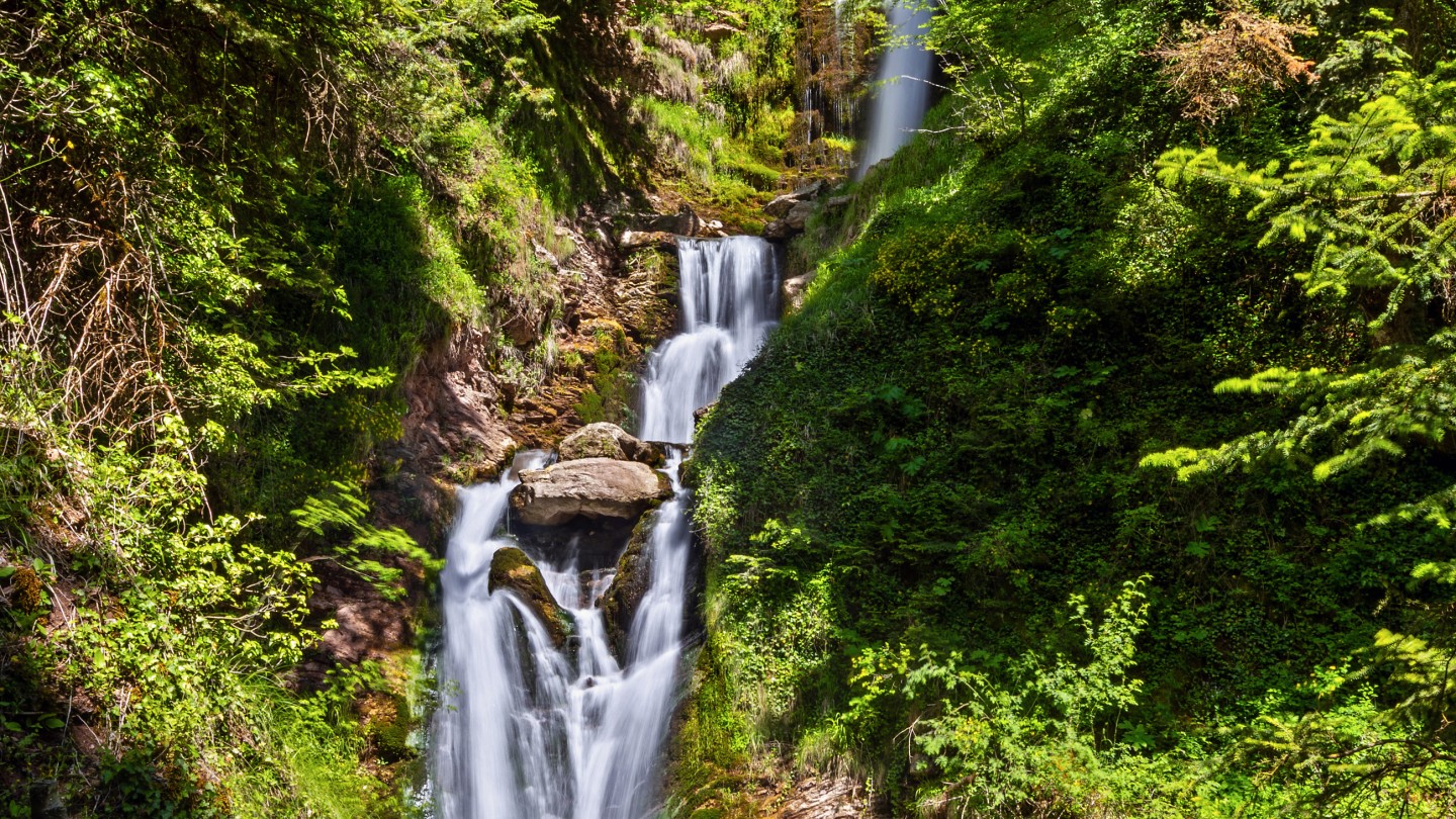 Discover the “Souda of May”