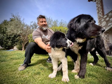 Στέφανος Πολυγένης, ο φύλακας των ελληνικών ποιμενικών